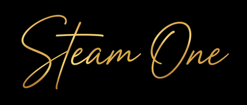 Steam One